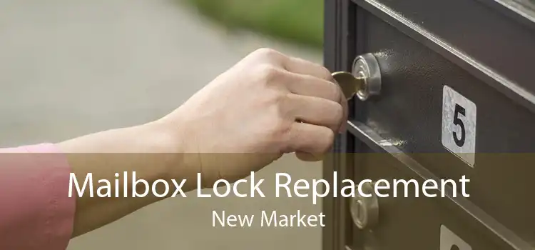 Mailbox Lock Replacement New Market