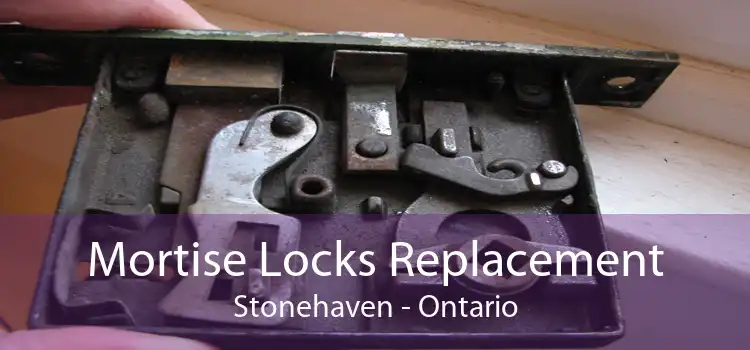 Mortise Locks Replacement Stonehaven - Ontario