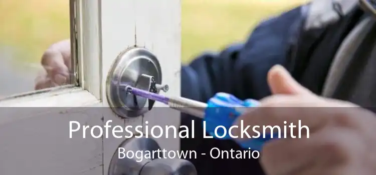 Professional Locksmith Bogarttown - Ontario