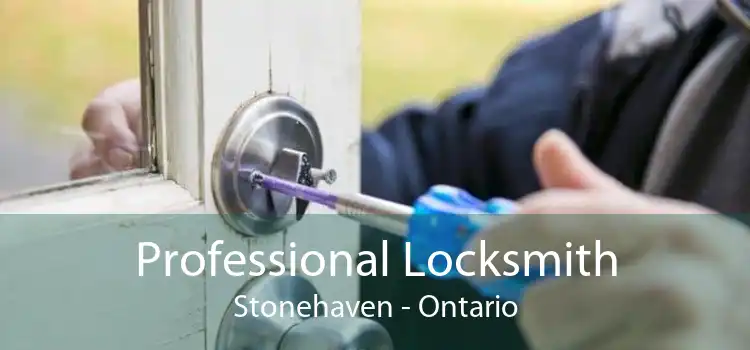 Professional Locksmith Stonehaven - Ontario